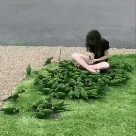 Подборка гифок (25 гифок) - 24.10.2022