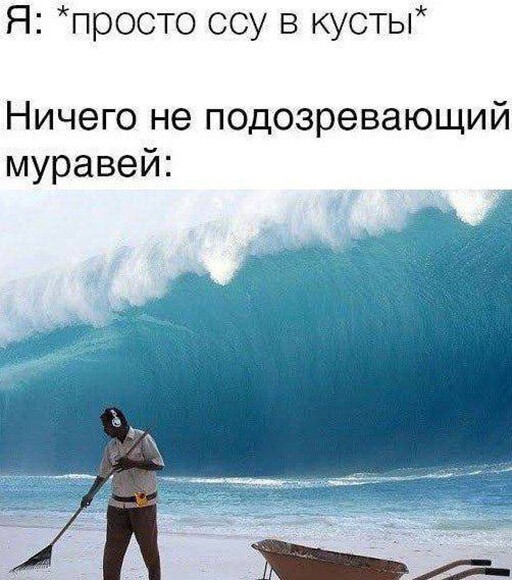 Смешные и познавательные картинки