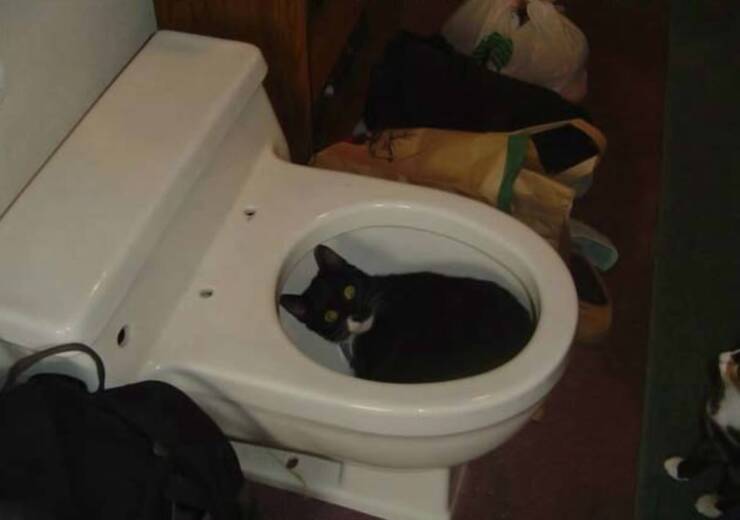 Подборка картинок. Вечерний выпуск (30 фото) - 02.11.2022