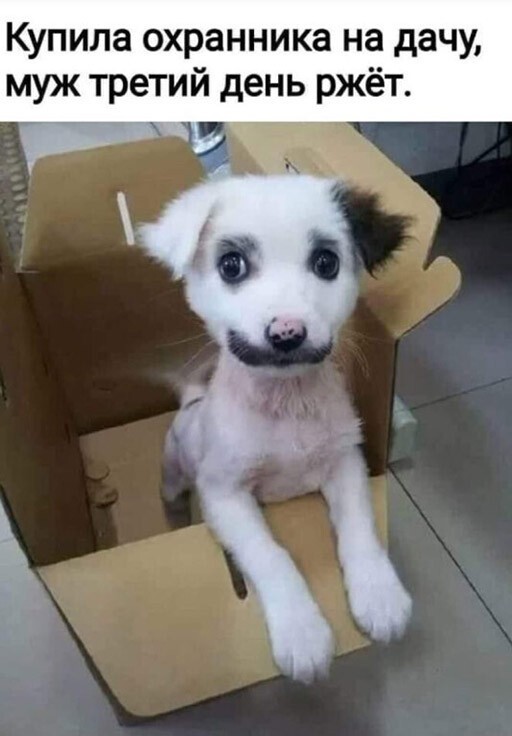 Смешные и познавательные картинки