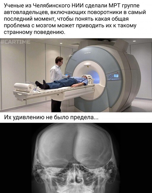 Смешные и познавательные картинки