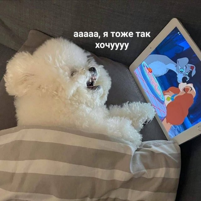 Лучшие шутки и мемы из Сети - 02.11.2022