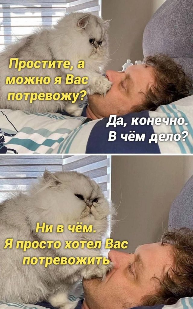 Лучшие шутки и мемы из Сети - 02.11.2022