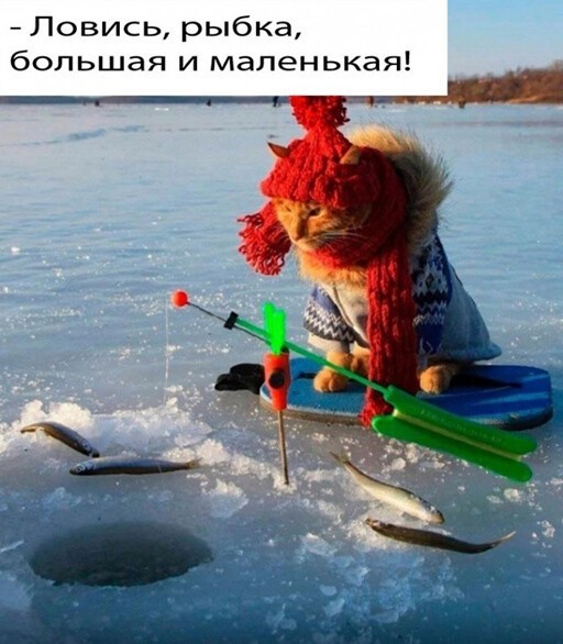 Смешные и познавательные картинки