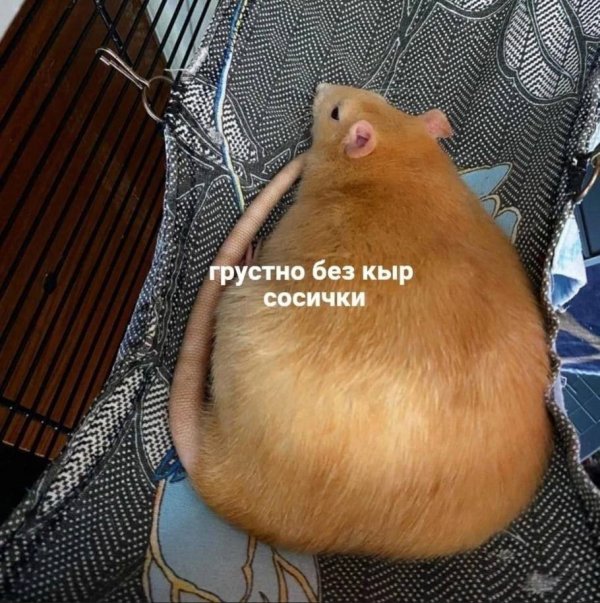 Нестандартный юмор :)
