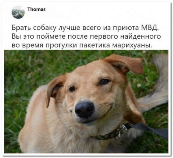 Скрины из соцсетей