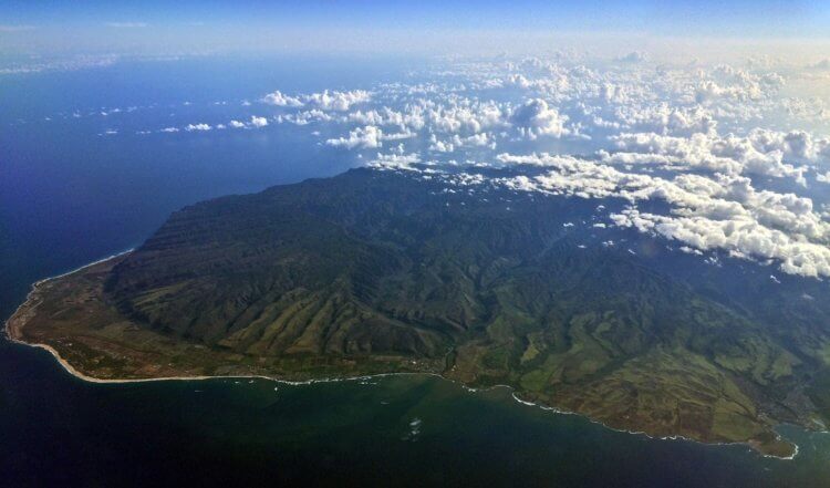 Опасность нашествия муравьев на Гавайях. Гавайский остров Кауаи. Опасность нашествия муравьев на Гавайях. Гавайский остров Кауаи. Фото.