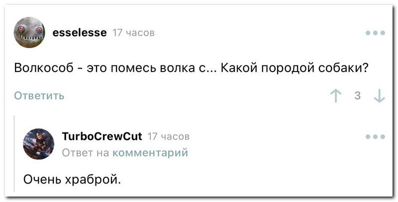 Забавные комментарии из социальных сетей