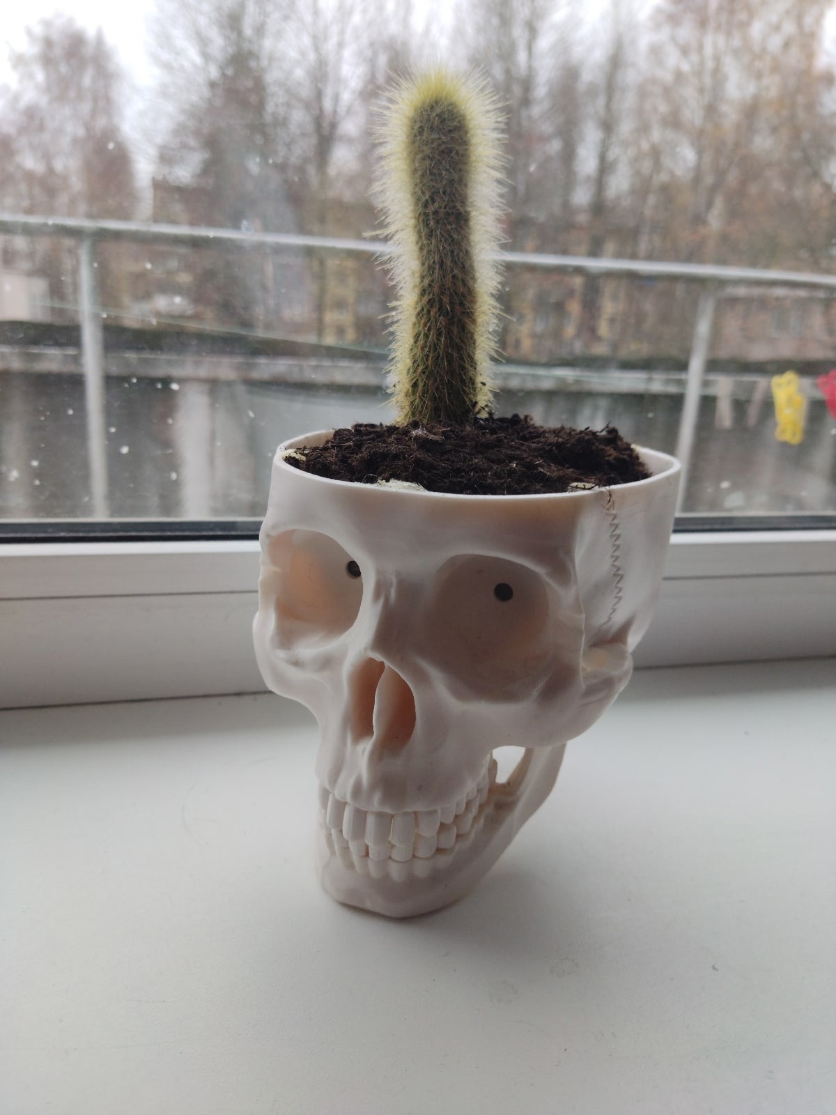 "Быть или не быть?" "Быть или не быть?"