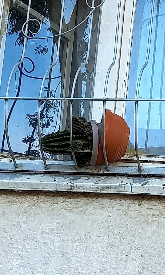 "Тише, он спит!" "Тише, он спит!"