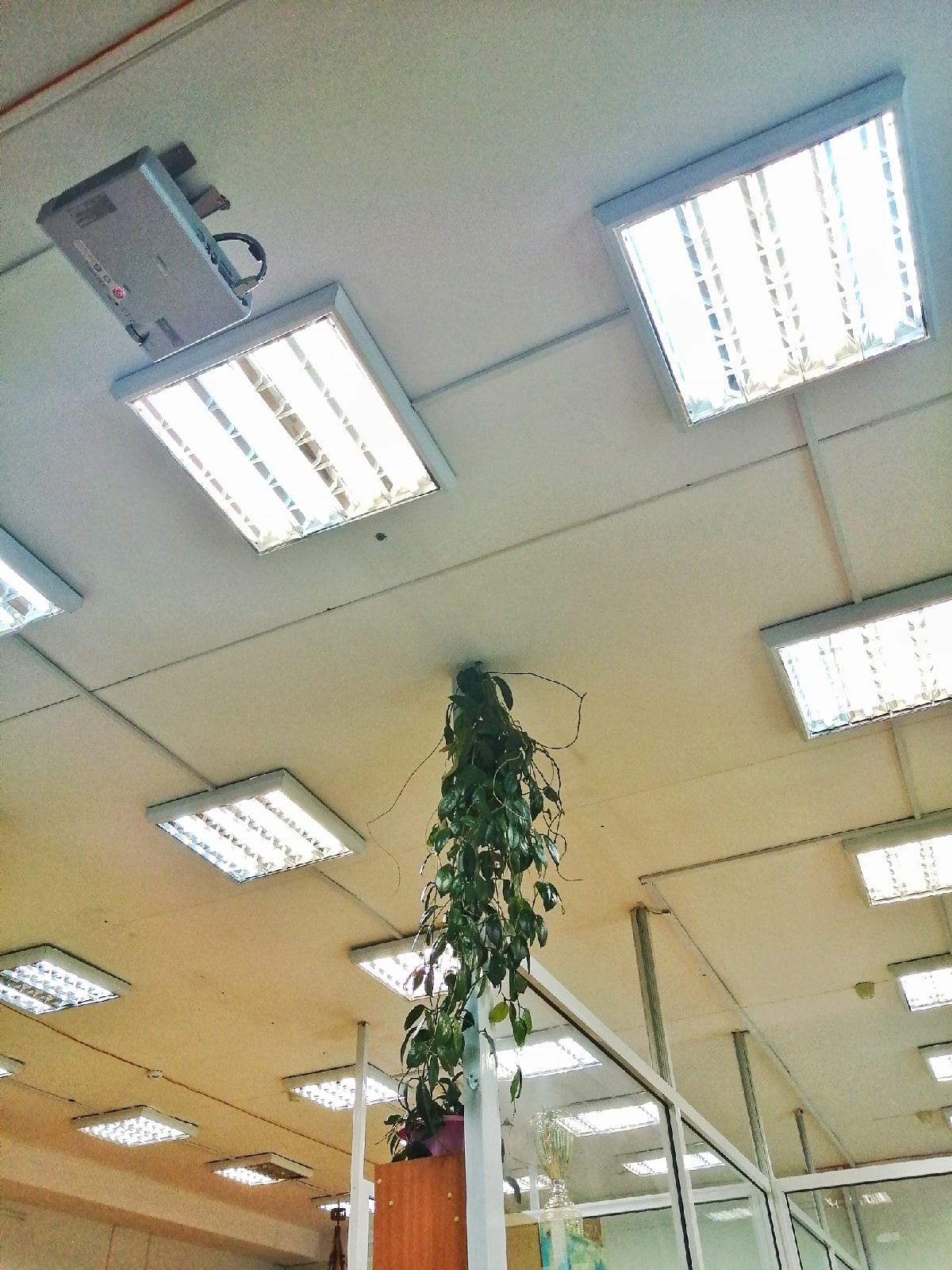 "Решил выбраться наружу, но не знал, что сверху еще этаж" "Решил выбраться наружу, но не знал, что сверху еще этаж"