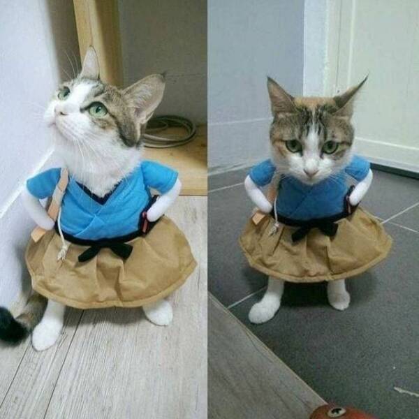 Подборка картинок. Вечерний выпуск (30 фото) - 23.11.2022