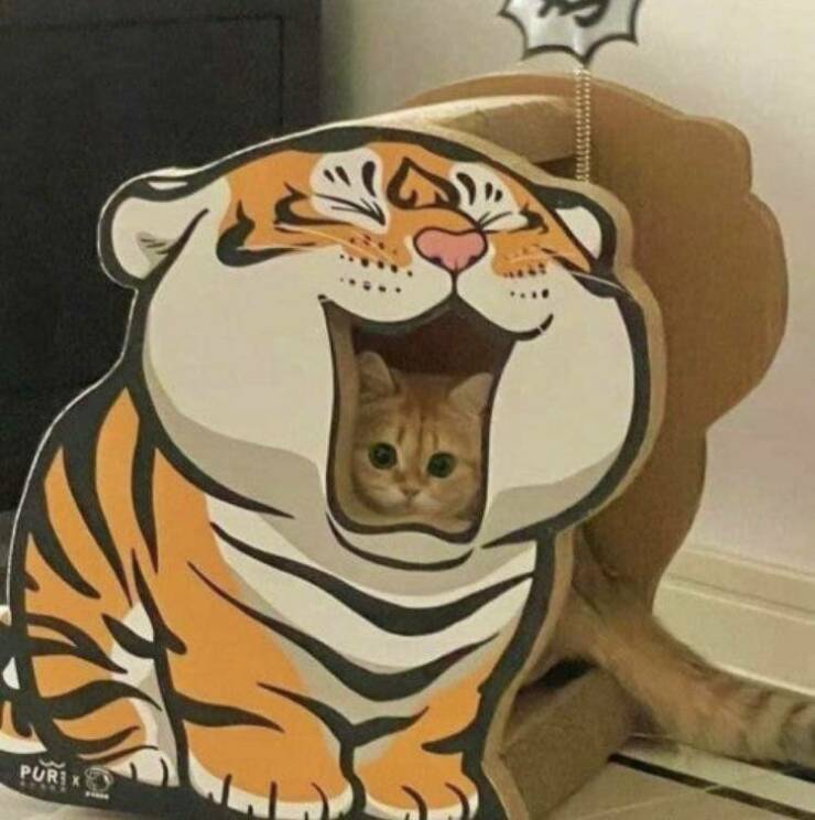 Подборка картинок. Вечерний выпуск (30 фото) - 24.11.2022