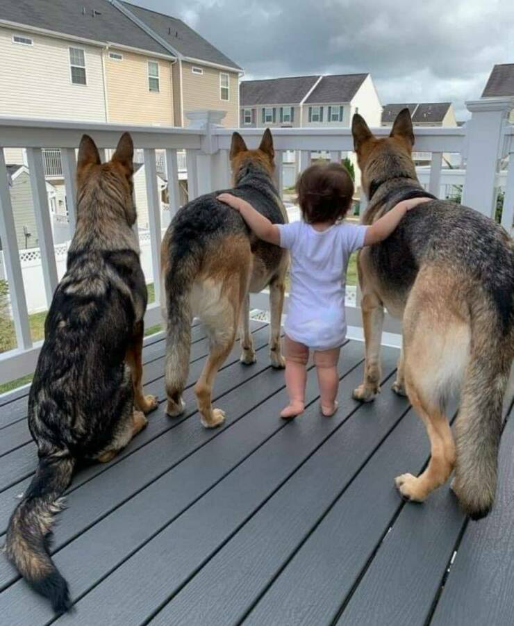 Подборка картинок. Вечерний выпуск (30 фото) - 24.11.2022