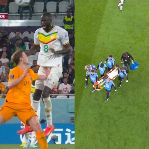 Подборка картинок. Вечерний выпуск (30 фото) - 24.11.2022