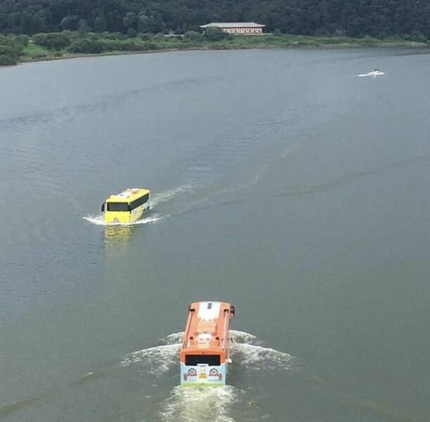 Подборка картинок. Вечерний выпуск (30 фото) - 23.11.2022