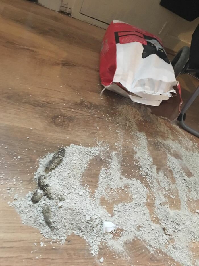 Фотография: У вас был неудачный день? Поверьте, у этих 30 людей все куда хуже №25 - BigPicture.ru