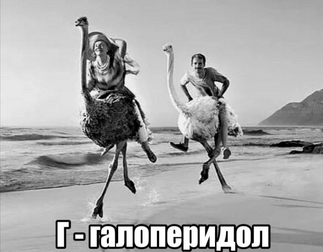 Лучшие шутки и мемы из Сети - 21.11.2022