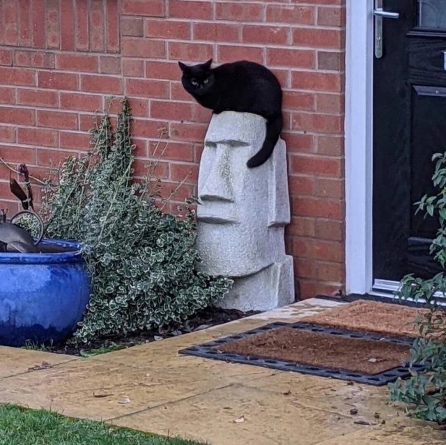 Лучшие шутки и мемы из Сети - 21.11.2022