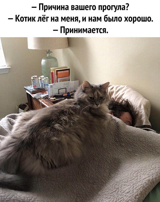 Смешные и познавательные картинки