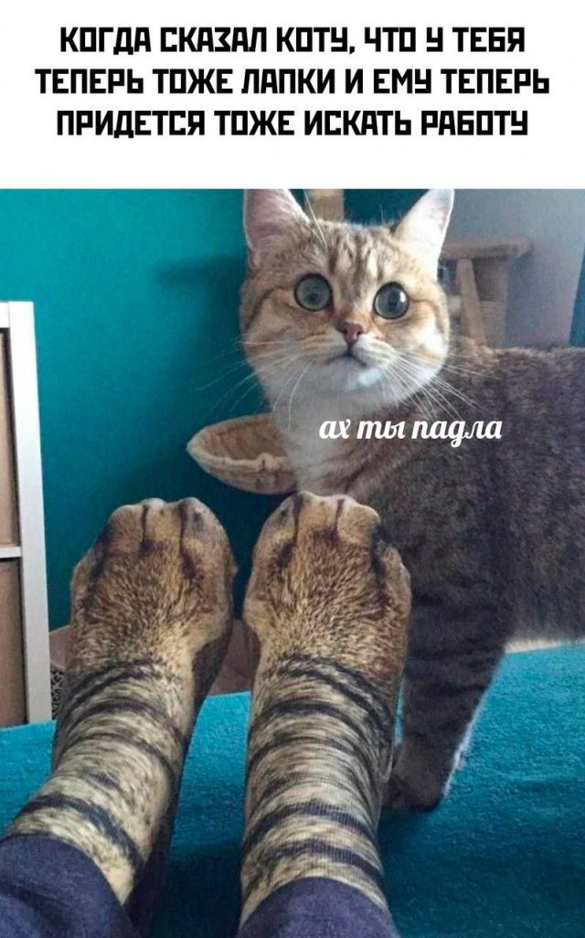 Лучшие шутки и мемы из Сети - 25.11.2022