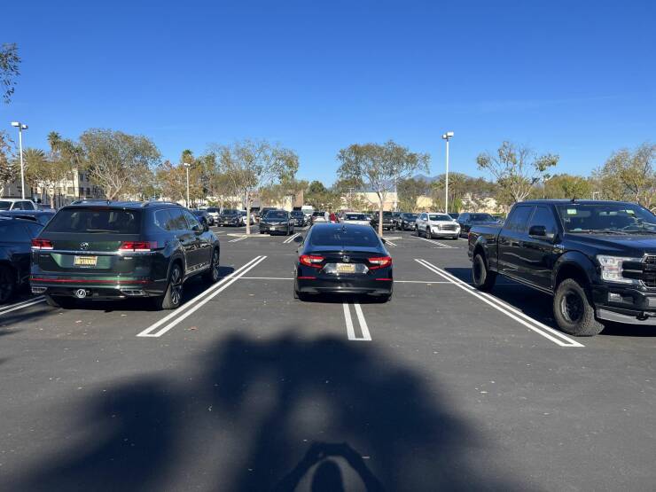 Подборка картинок. Вечерний выпуск (30 фото) - 29.11.2022