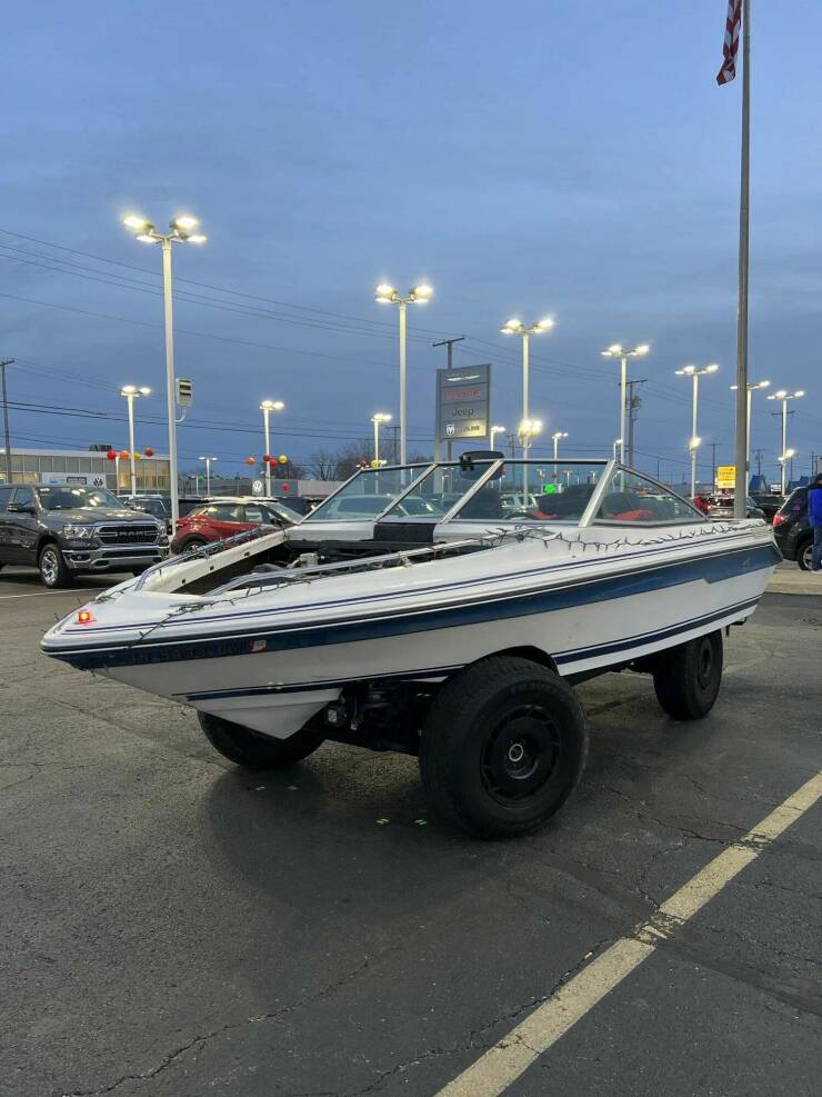 Подборка картинок. Вечерний выпуск (30 фото) - 29.11.2022