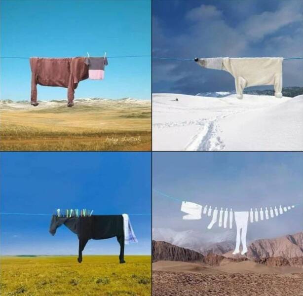 Подборка картинок. Вечерний выпуск (30 фото) - 29.11.2022