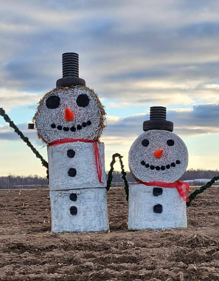Подборка картинок. Вечерний выпуск (30 фото) - 29.11.2022