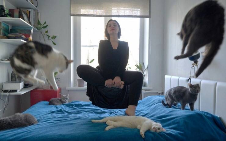 Подборка картинок. Вечерний выпуск (30 фото) - 29.11.2022