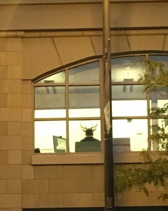 Настолько хорошо, что идеально