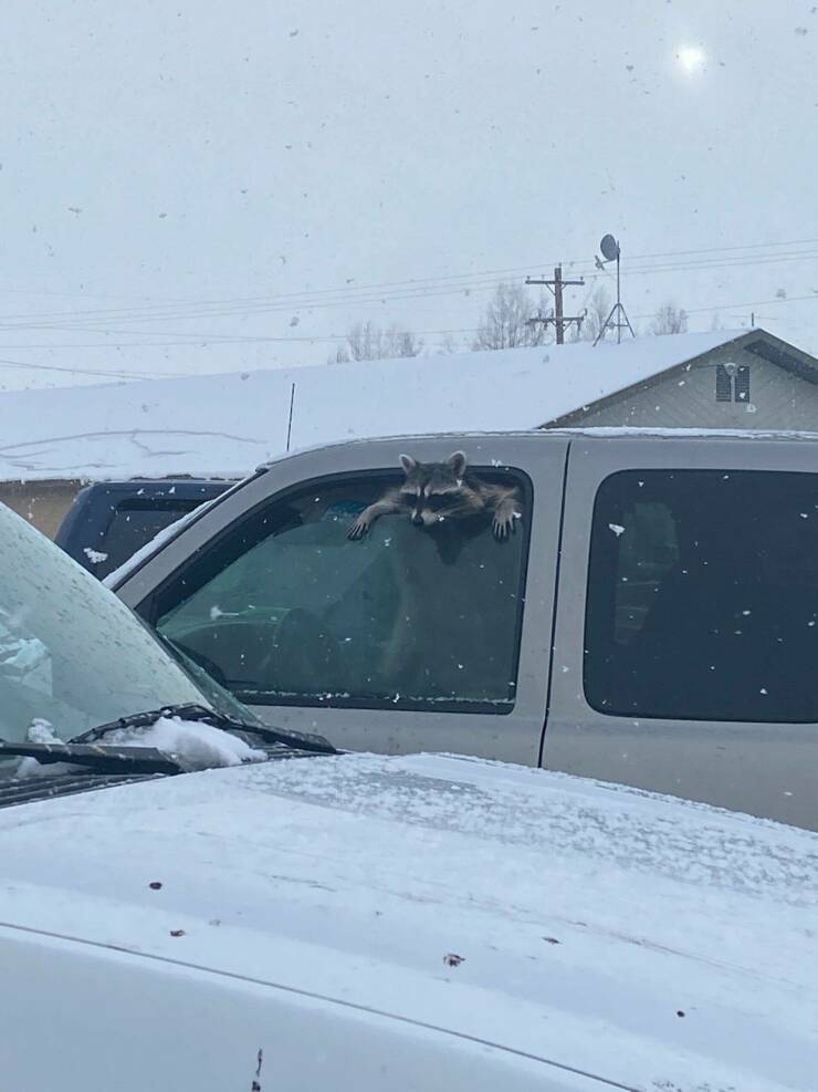 Подборка картинок. Вечерний выпуск (30 фото) - 07.12.2022