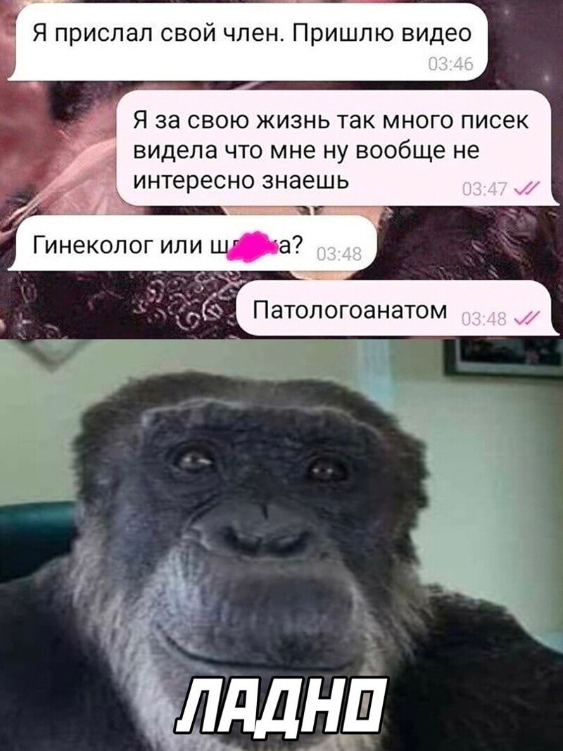 Комментарии и картинки из соцсетей. Порция горячего свежачка