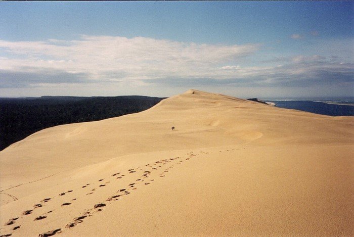 Как во Франции могла появиться такая огромная пустыня