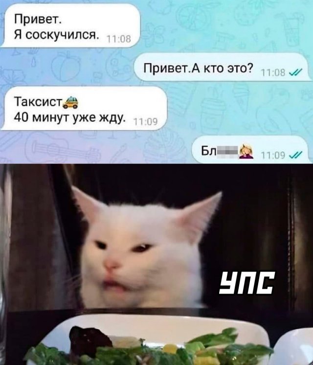 Подборка картинок. Вечерний выпуск  - 13.12.2022