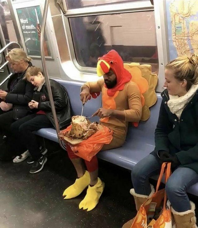 Подборка картинок. Вечерний выпуск  - 13.12.2022