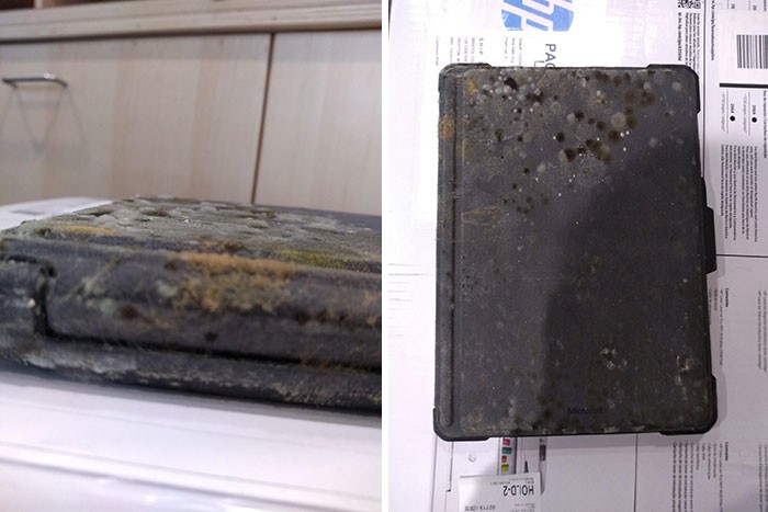 22. &quot;Мой двоюродный брат почистил мой ноутбук, пока меня не было&quot;