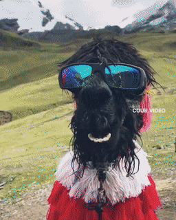 Подборка гифок  - 14.12.2022