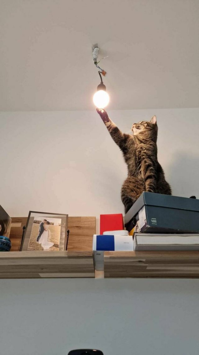 Подборка картинок. Вечерний выпуск - 16.12.2022