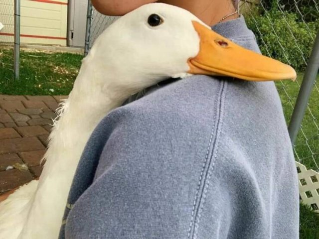 Подборка картинок. Вечерний выпуск - 16.12.2022