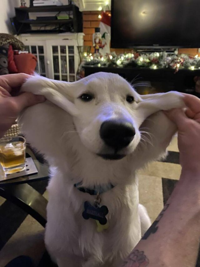 Подборка картинок. Вечерний выпуск - 16.12.2022