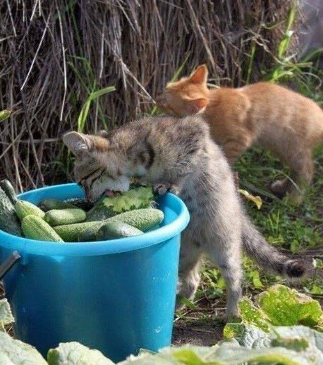 Подборка картинок. Вечерний выпуск - 16.12.2022