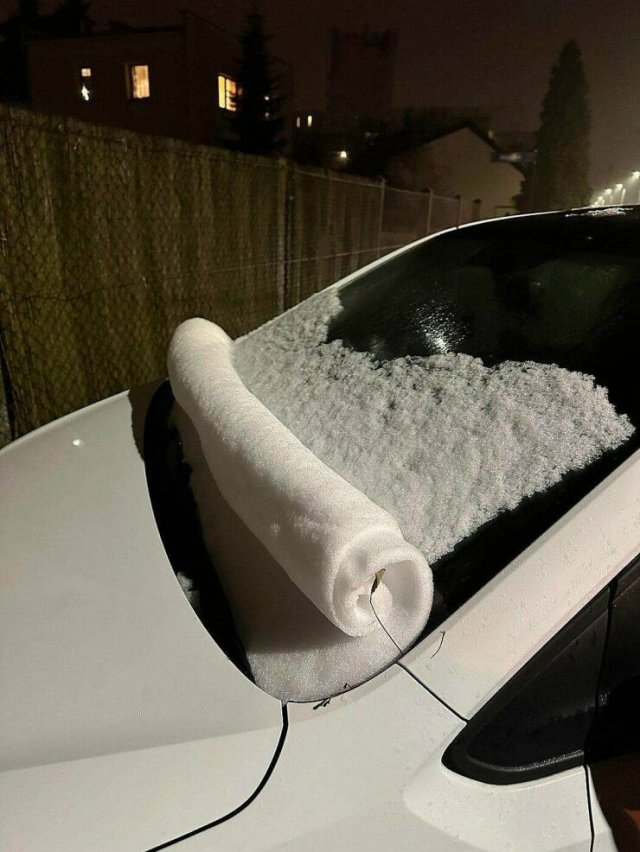 Подборка картинок. Вечерний выпуск - 16.12.2022