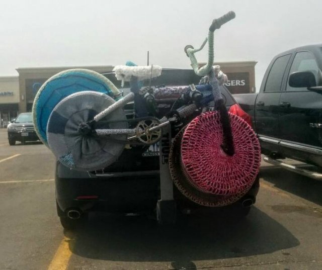 Подборка картинок. Вечерний выпуск - 16.12.2022