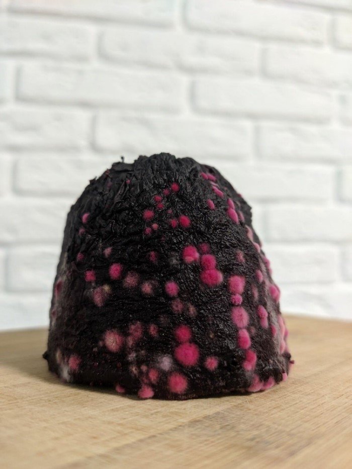 14 удивительных снимков, показывающих, насколько разнообразной может быть плесень 14 удивительных снимков, показывающих, насколько разнообразной может быть плесень