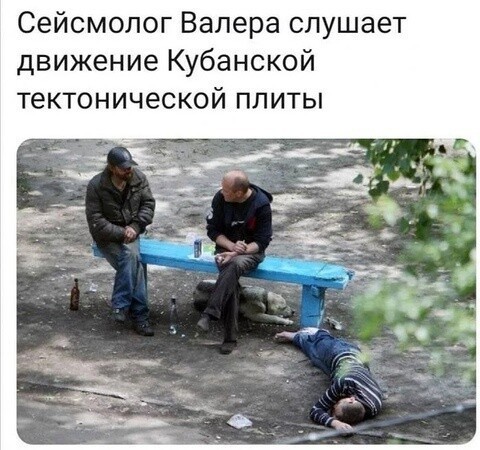 Комментарии и картинки из соцсетей. Свежак за 20 декабря