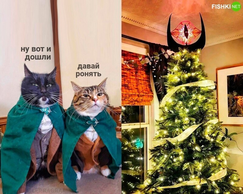 Комментарии и картинки из соцсетей. Свежак за 20 декабря