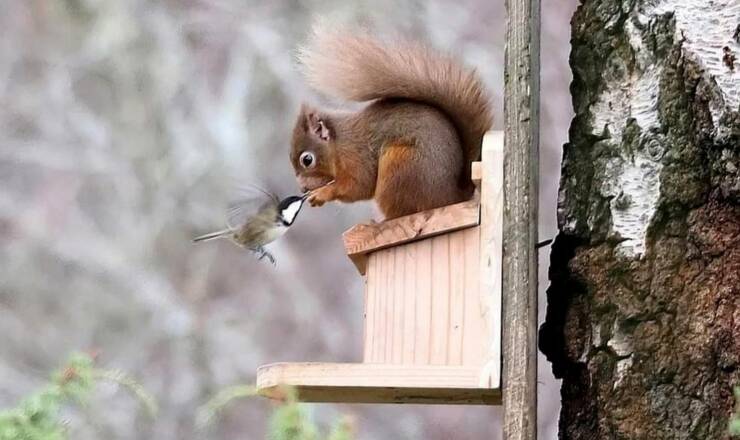 Подборка картинок. Вечерний выпуск - 21.12.2022 (30 фото)