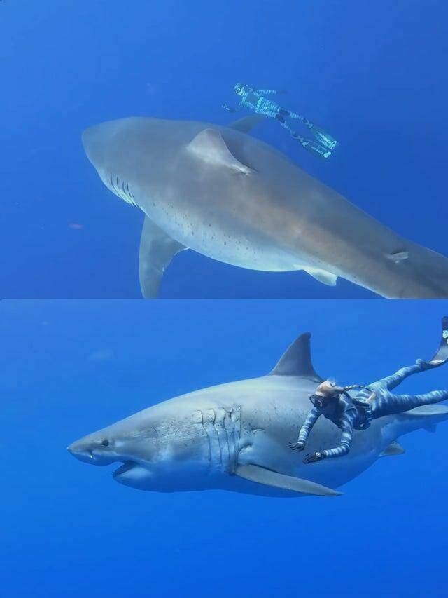 Подборка картинок. Вечерний выпуск - 21.12.2022 (30 фото)