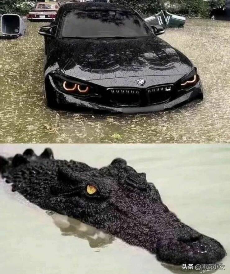 Подборка картинок. Вечерний выпуск - 21.12.2022 (30 фото)